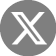 x-icon